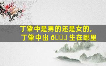 丁肇中是男的还是女的,丁肇中出 🐛 生在哪里